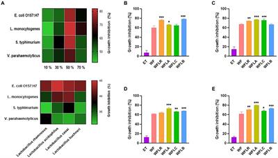 Woodfordia fruticosa fermented with lactic acid bacteria impact on foodborne pathogens adhesion and cytokine production in HT-29 cells